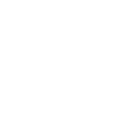 WhiteNoise logo